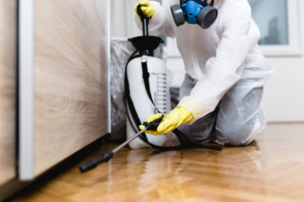 Best Local Pest Control Services  in Lanett, AL