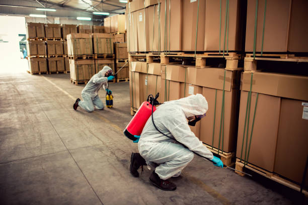 Best Cockroach Control Services  in Lanett, AL