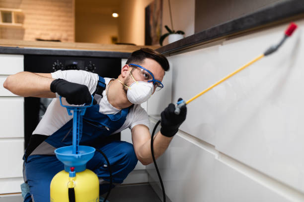 Wasp Removal Services in Lanett, AL