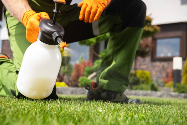 Best Pest Removal Services  in Lanett, AL