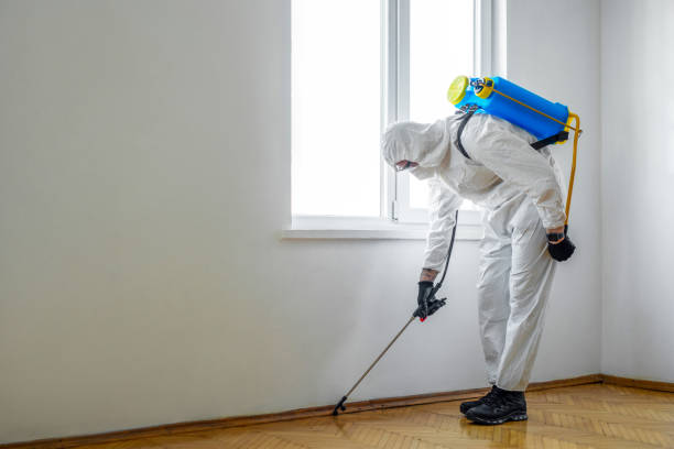 Best Termite Control Services  in Lanett, AL