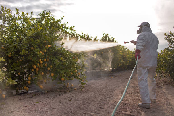  Lanett, AL Pest Control Pros