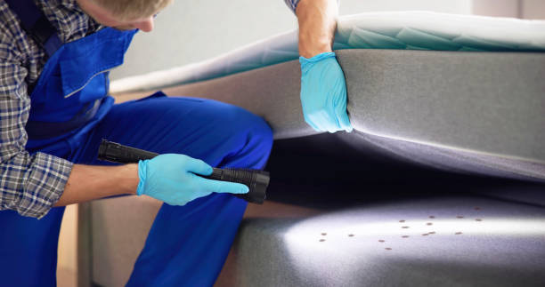 Best Cockroach Control Services  in Lanett, AL