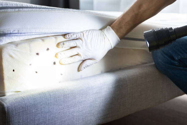 Best Pest Inspection Near Me  in Lanett, AL