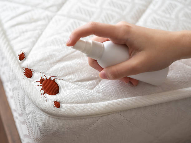 Best Pest Removal Services  in Lanett, AL