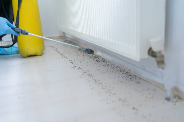 Trusted Lanett, AL Pest Control Experts
