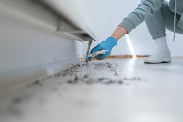 Best Affordable Pest Control Services  in Lanett, AL