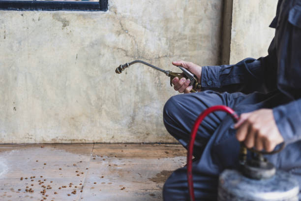 Best Best Pest Control Companies  in Lanett, AL